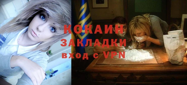гидра Володарск
