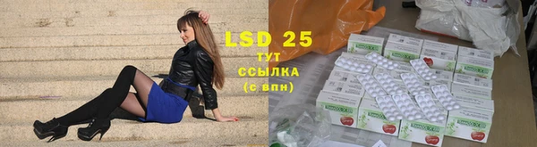 гидра Володарск