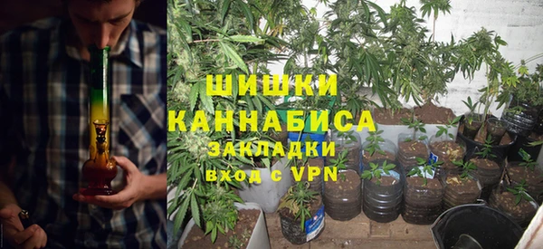 гидра Володарск