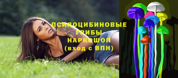 гидра Володарск