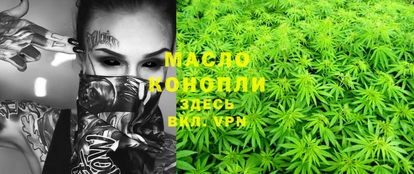 гидра Володарск