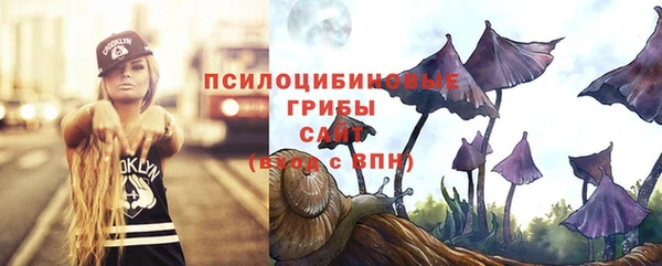 гидра Володарск